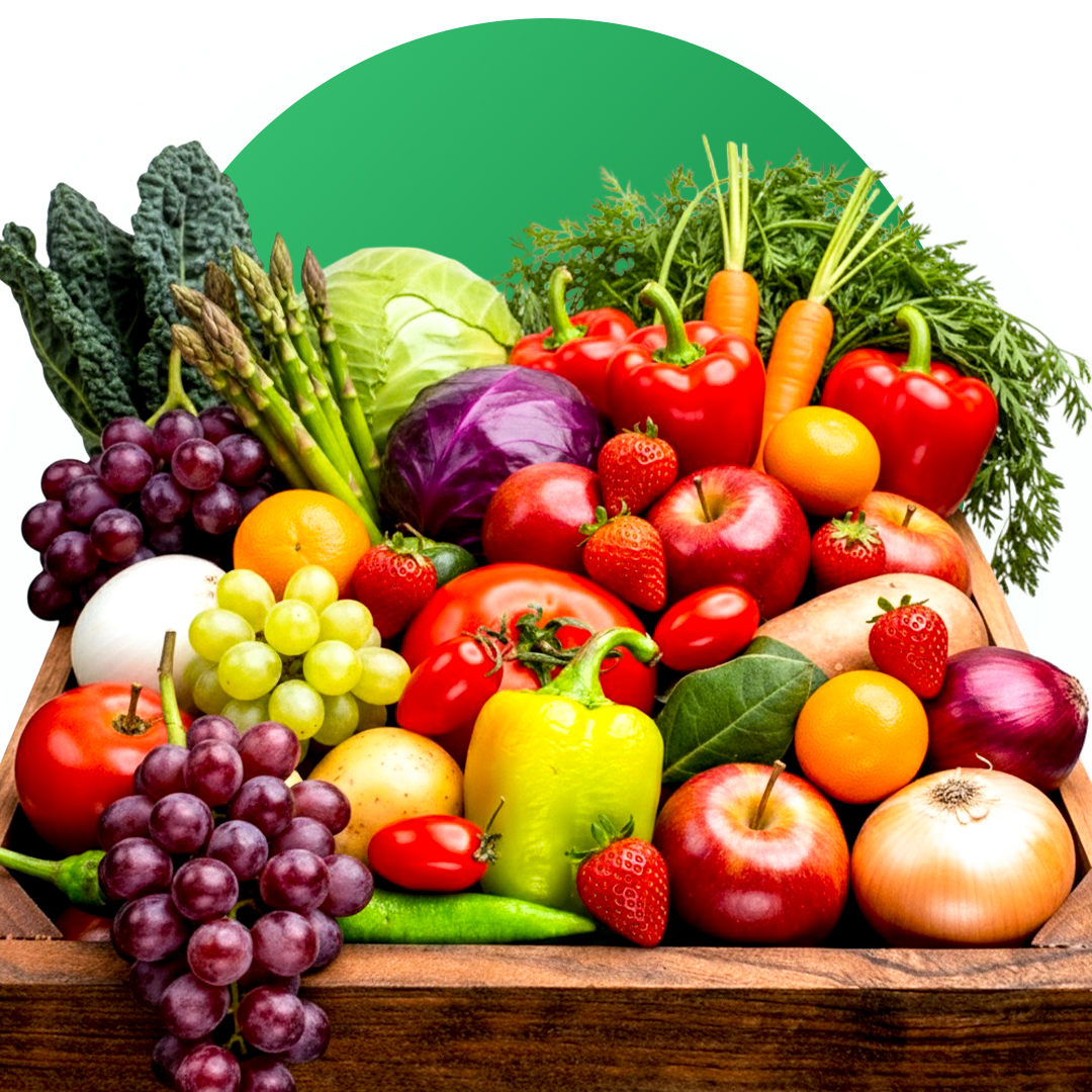 Qseal%20Agritech%20Pvt%20Ltd